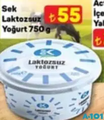 SEK LAKTOZSUZ YOĞURT 750 G